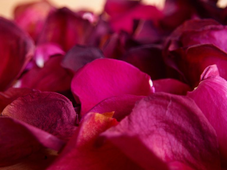 Rose petals pell-mell