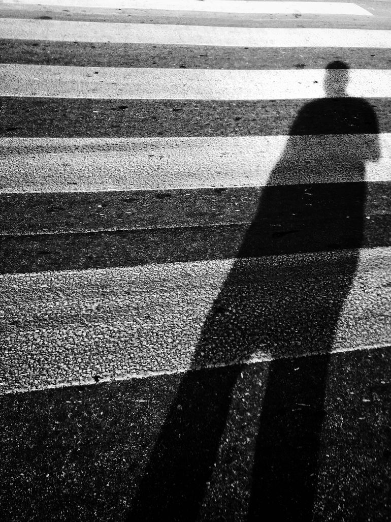 Shadow in zebra
