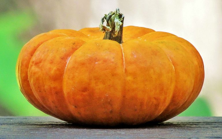 Mini Pumpkin