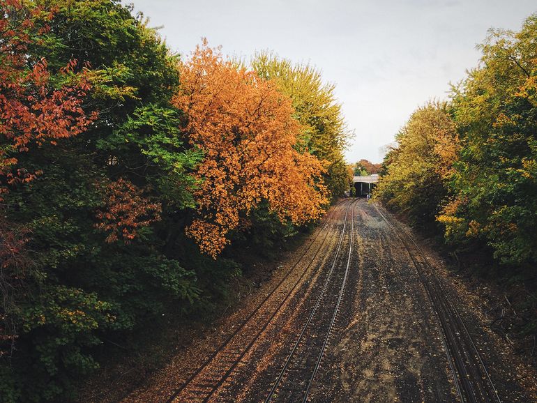 Autumn train path.