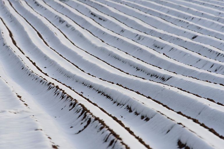 Fields of snow
