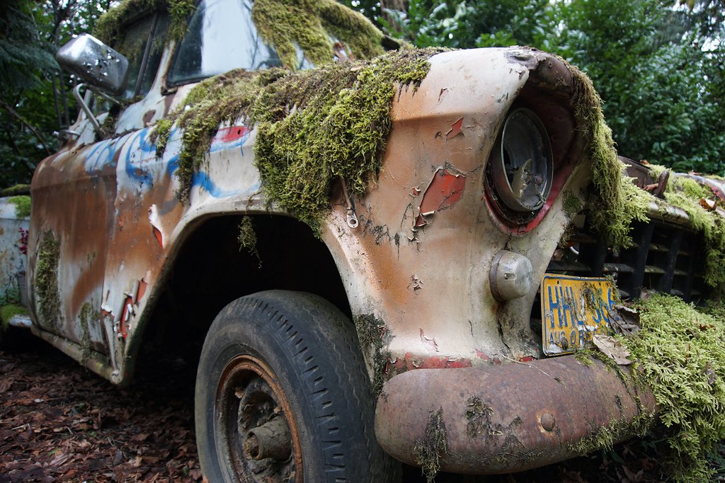 Interstitial 59: The Moss Truck by aldabwoods on tookapic