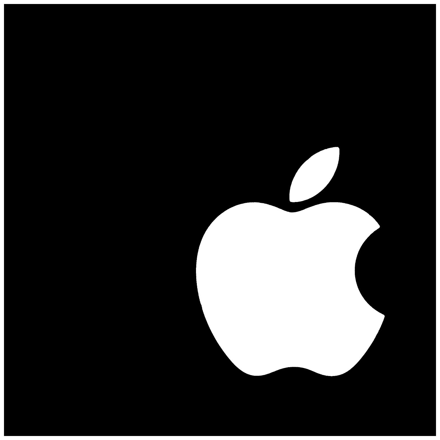 Apple 33