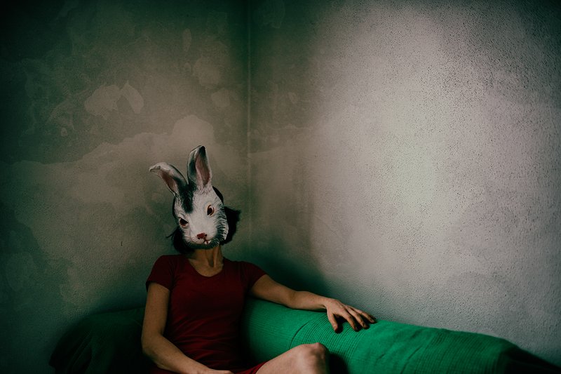 strange rabbit - Tookapic