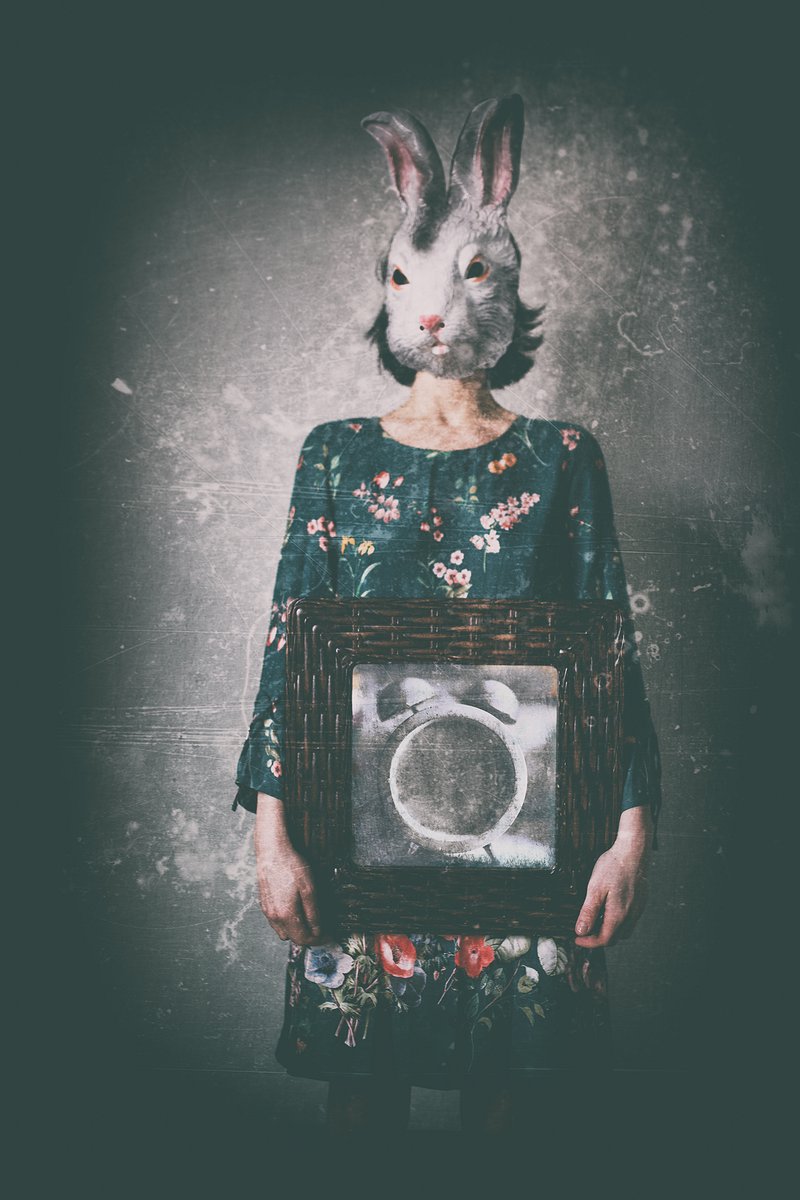 strange rabbit - Tookapic